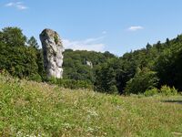 _IMG7411-exported.jpg